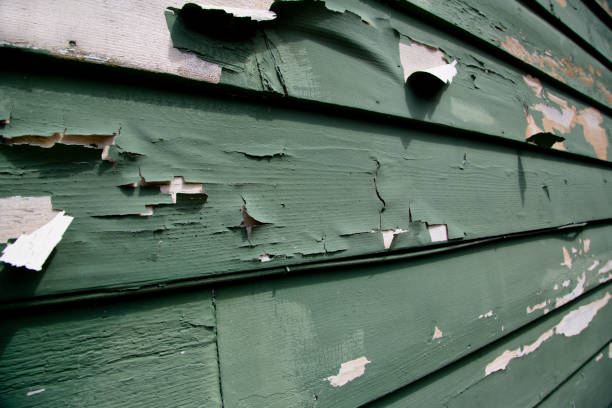 Best Shed Removal  in Sumrall, MS