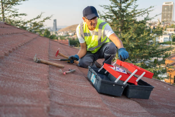 Best Carpet Removal and Disposal  in Sumrall, MS